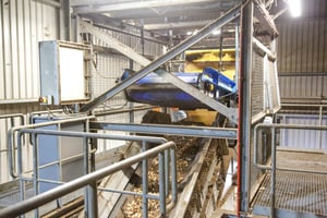 Western_Biomass_Bunting_EMAX-4718