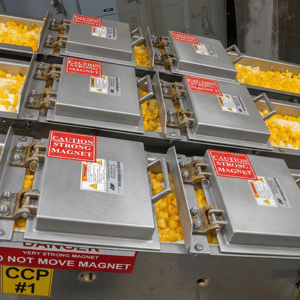 Plate Magnet Removing Metal from Food