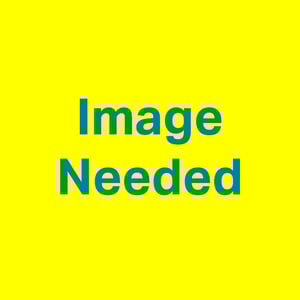Image+needed+placeholder-1920w